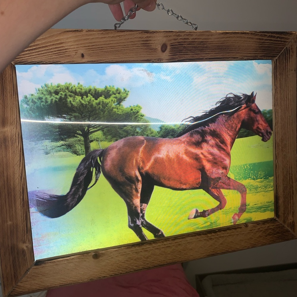 Horse frame and picture